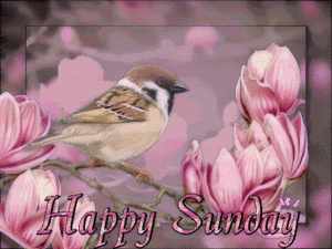 Happy Sunday Birds Images