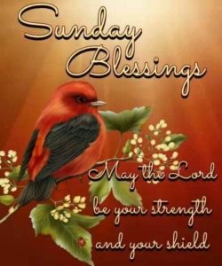 Happy Sunday Blessings Images