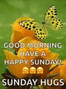 Happy Sunday Butterfly Images