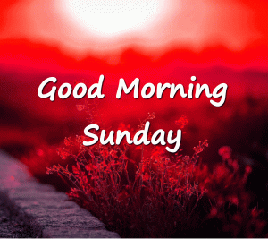 Happy Sunday Good Morning Photos for Mobile