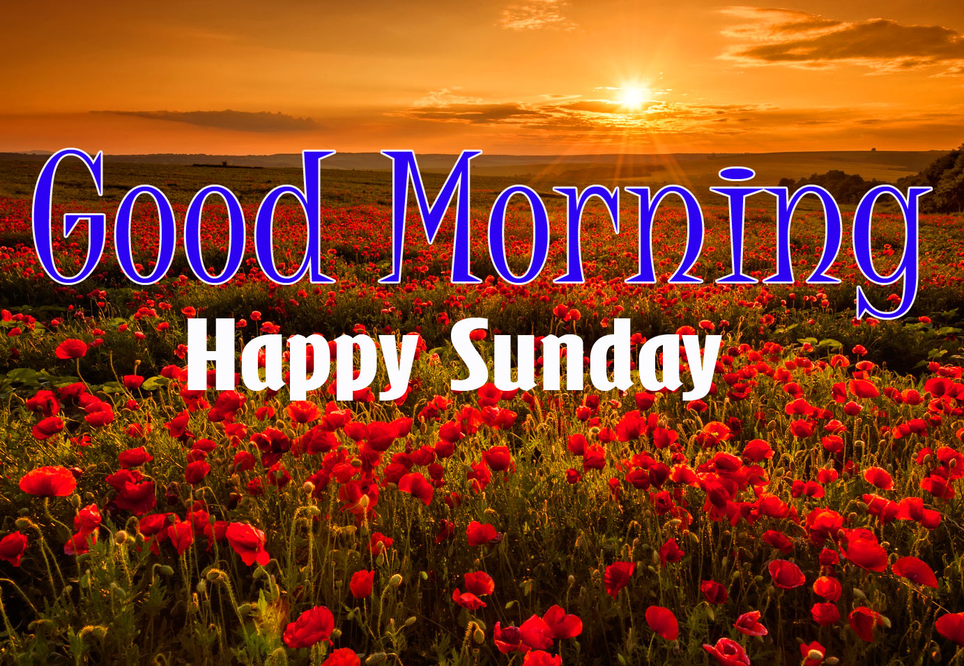 100 Best Good Morning Sunday Images Pic Photos Wallpaper With Quotes Good Morning
