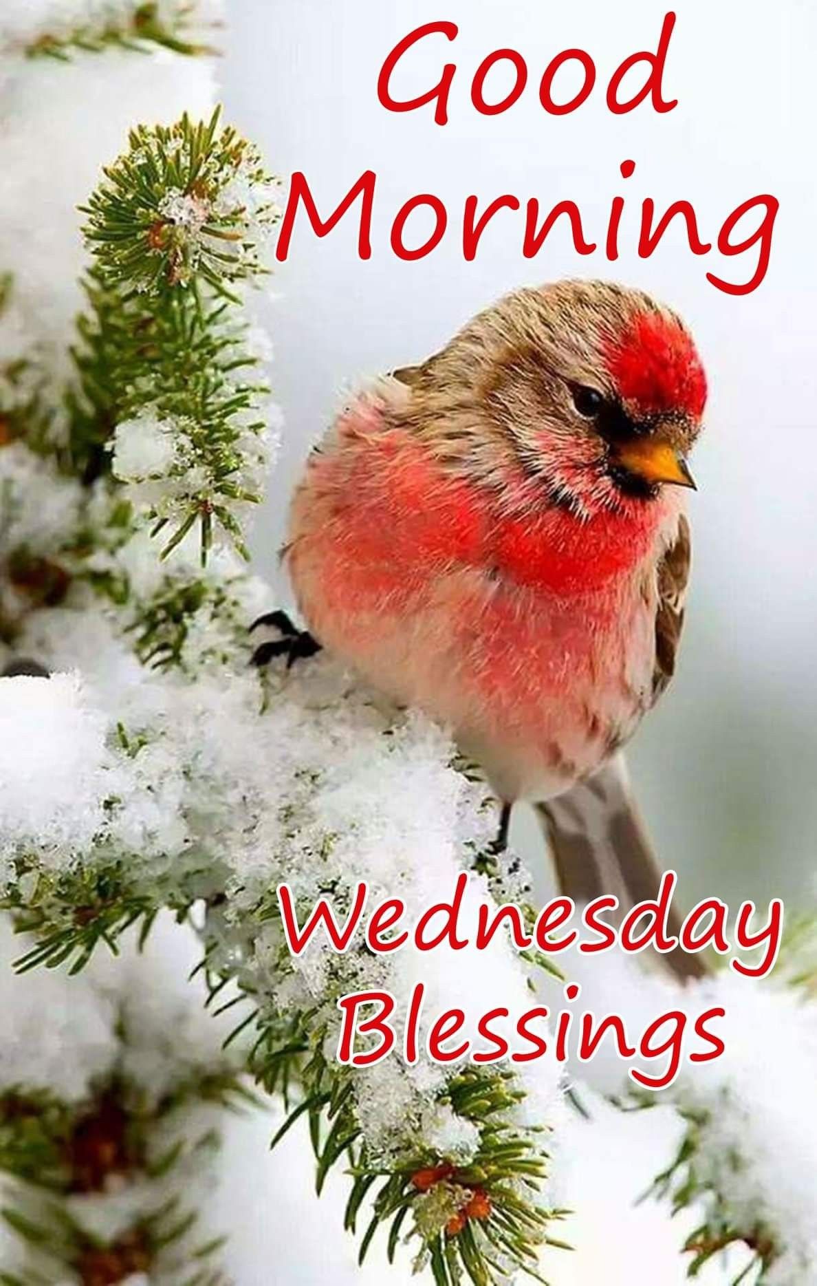 Happy Wednesday Good Morning Winter Images