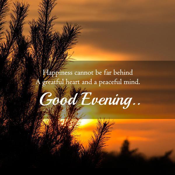 Best Good Evening Images Download For Whatsapp HD - Good Morning