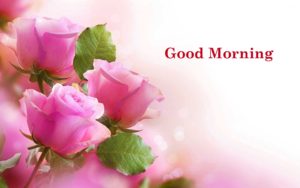 New Good Morning Images Hd 1080p Download
