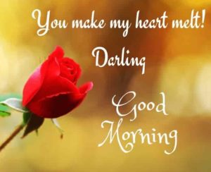 Romantic Good Morning Darling Images