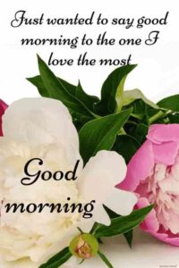 Romantic Good Morning Images Download