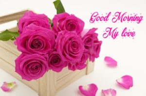 Romantic Good Morning My Love Images HD Download