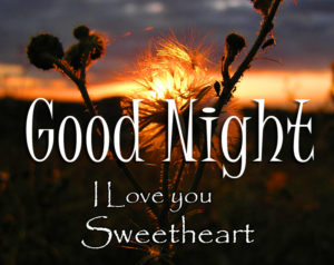 Romantic Good Night Nature Images Free HD Download