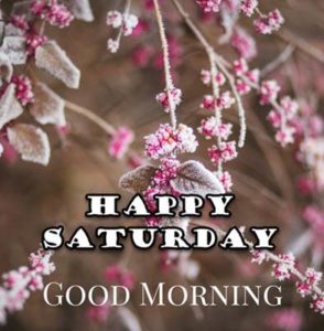 Saturday Special Good Morning Images Photos Pic HD Download