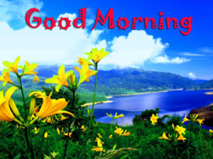 Scenery Good Morning HD Images