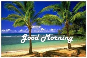 Scenery Good Morning Images HD