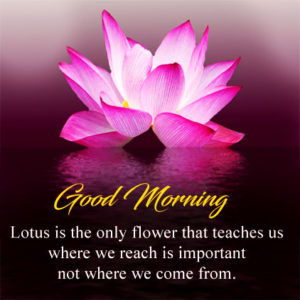 Special Good Morning Images with Quotes HD