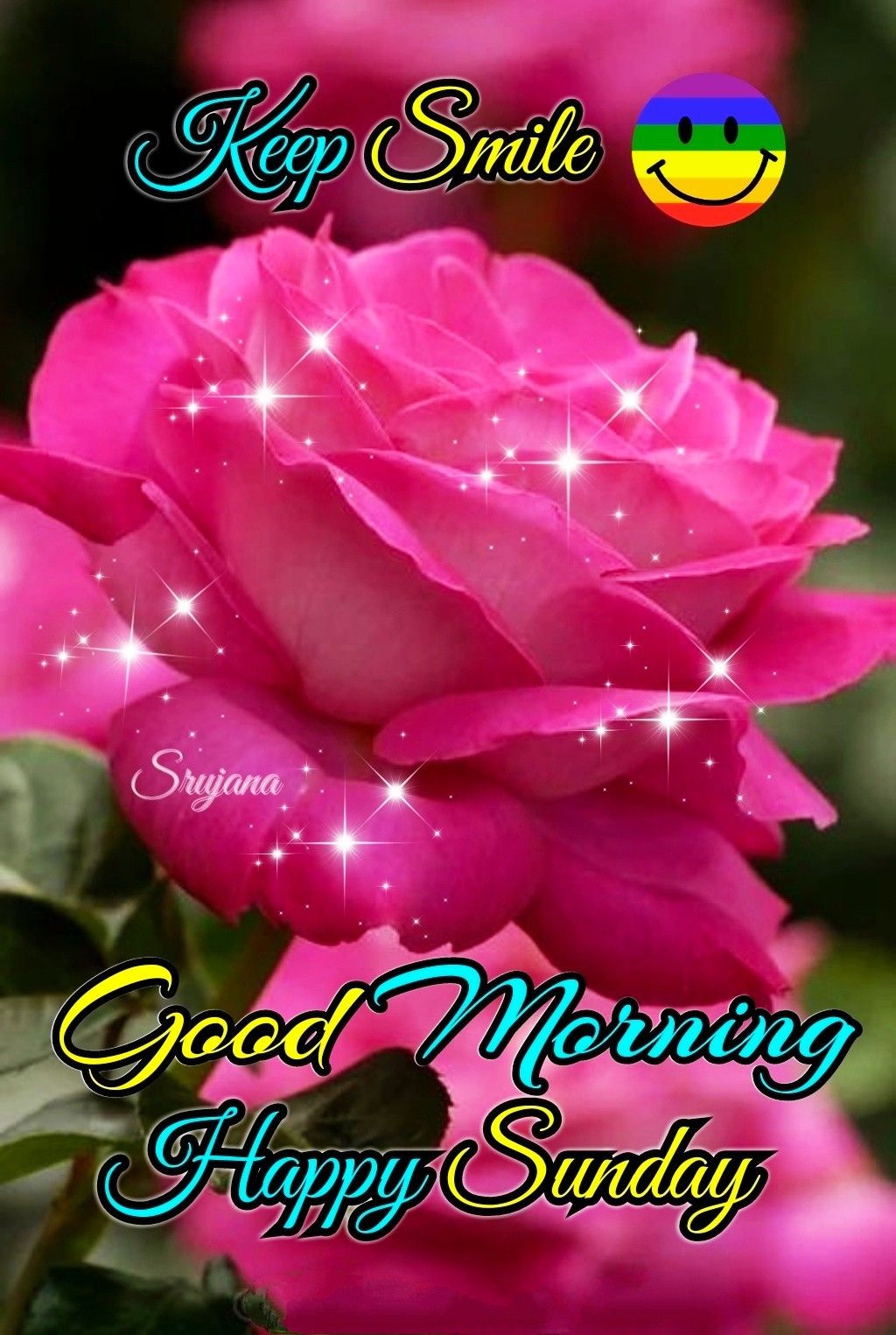 249+ Latest Good Morning Happy Sunday Hd Images With Wishes Good Morning