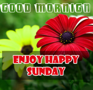 Sunday Special Good Morning Images