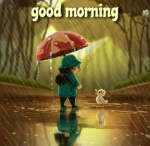 Sweet Good Morning Hd Nature Images with Rain