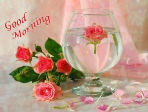 The Most Beautiful Very Good Morning Images