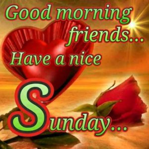 Today Special Good Morning Friends Sunday Photos