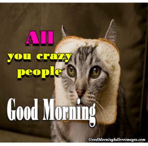 Very Funny Beautiful Good Morning Images With Quotes