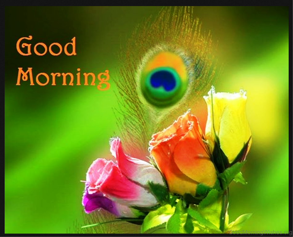 Very Beautiful Good Morning Images Photo Free Download - Good Morning