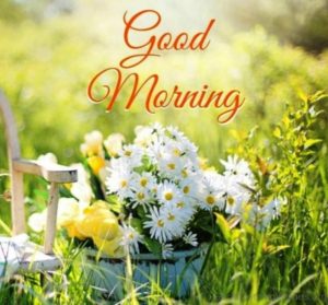 Very Good Morning Images Free Download For Whatsapp Hd Download