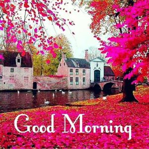 Very Good Morning Images Hd