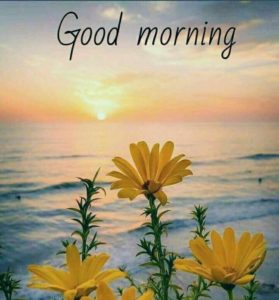 Very Special Good Morning Flowers Images Photos