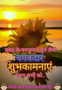 Whatsapp Good Morning Iimages in Hindi 6