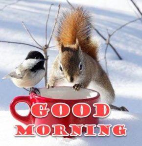 Winter Good Morning HD Images For Whatsapp