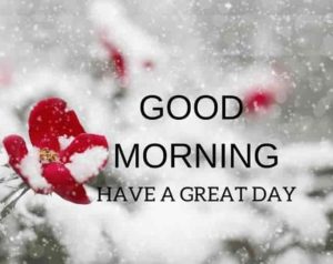 Winter Good Morning Quotes HD