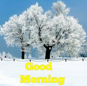 Winter Good Morning Wishes Images