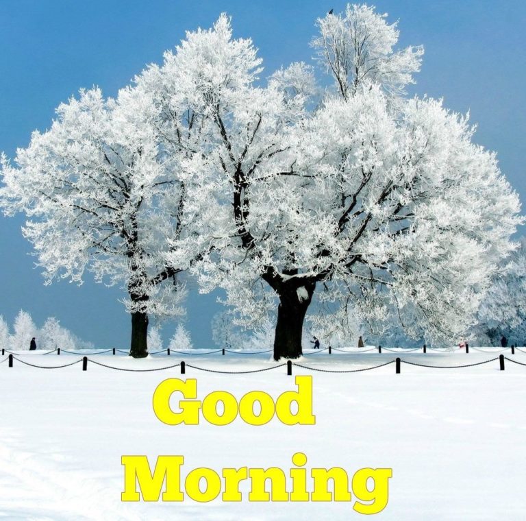 100+ Best Good Morning Winter Images With Quotes Good