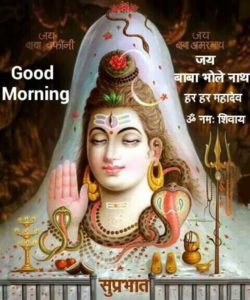 Beautiful Shiv Shankar Good Morning Images Free Download