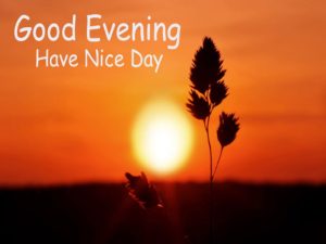 Good Evening Have A Nice Day Photo Download