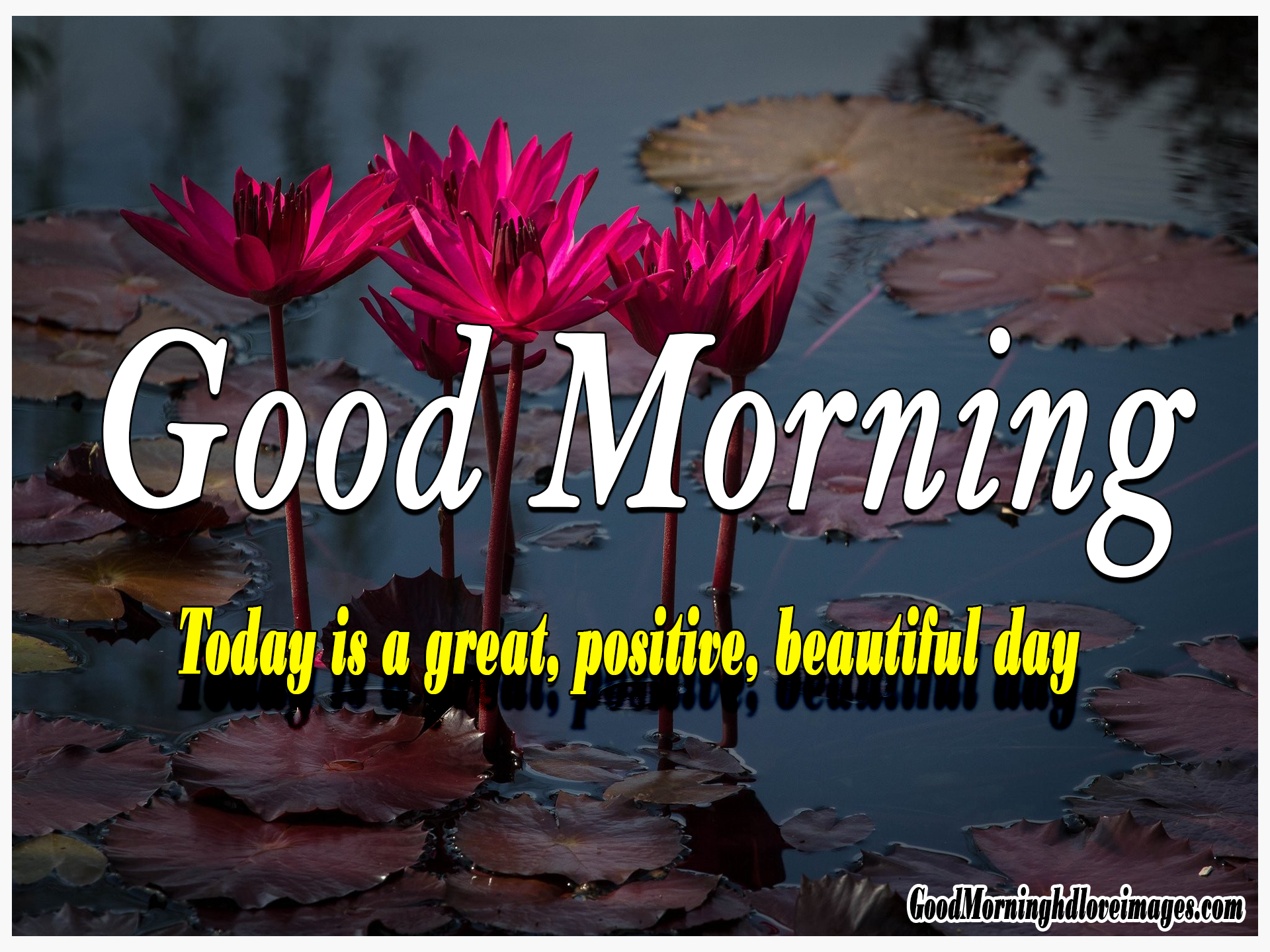 156+ Fresh Good Morning Wallpaper Free Download For Whatsapp Hd Download -  Good Morning