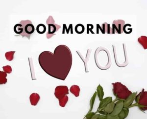 Good Morning Love Photo Gallery Free Download