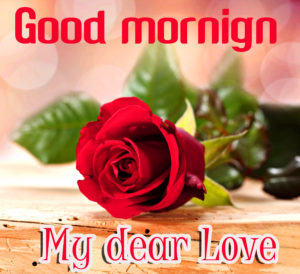 Good Morning Love Rose Images For Girlfriend
