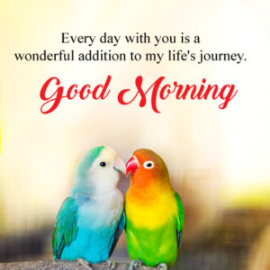 Good Morning Photo Love Birds Download For Mobile