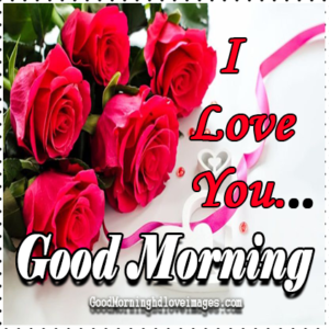 Romantic Good Morning Love Images Photos Pictures with Red Roses