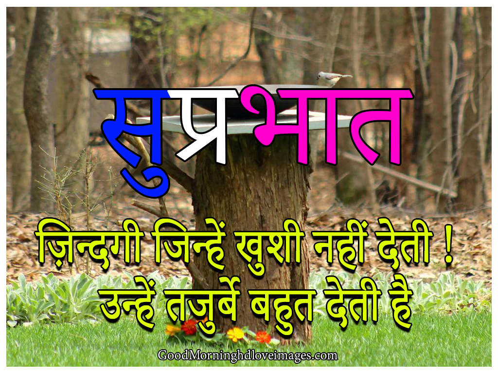 Fresh Good Morning Wishes Images With Quotes In Hindi English - Good Morning
