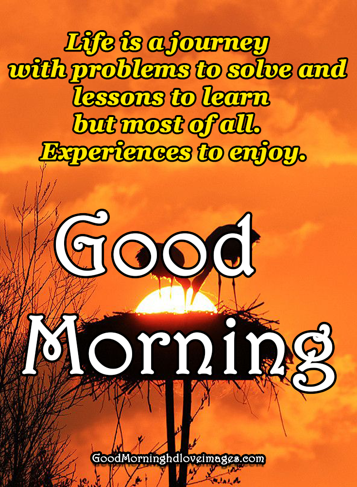 Featured image of post Positive Morning Motivational Positive Good Morning Quotes In Hindi Yeh sochkar samye barbaad mat kren ki zindagi me aage kya hoga agar kuch bhi na mila to ek nya anubhav to milega good morning
