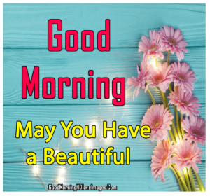 99 Happy Good Morning Tuesday Images Wishes | Tuesday Good Morning Photos