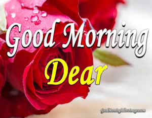 Good Morning Dear Images Download Free With Quotes