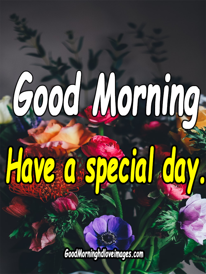 Best Special Good Morning Images Pictures Free Download - Good Morning
