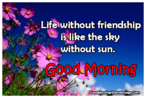 Faithful Friend Good Morning Images with Quotes