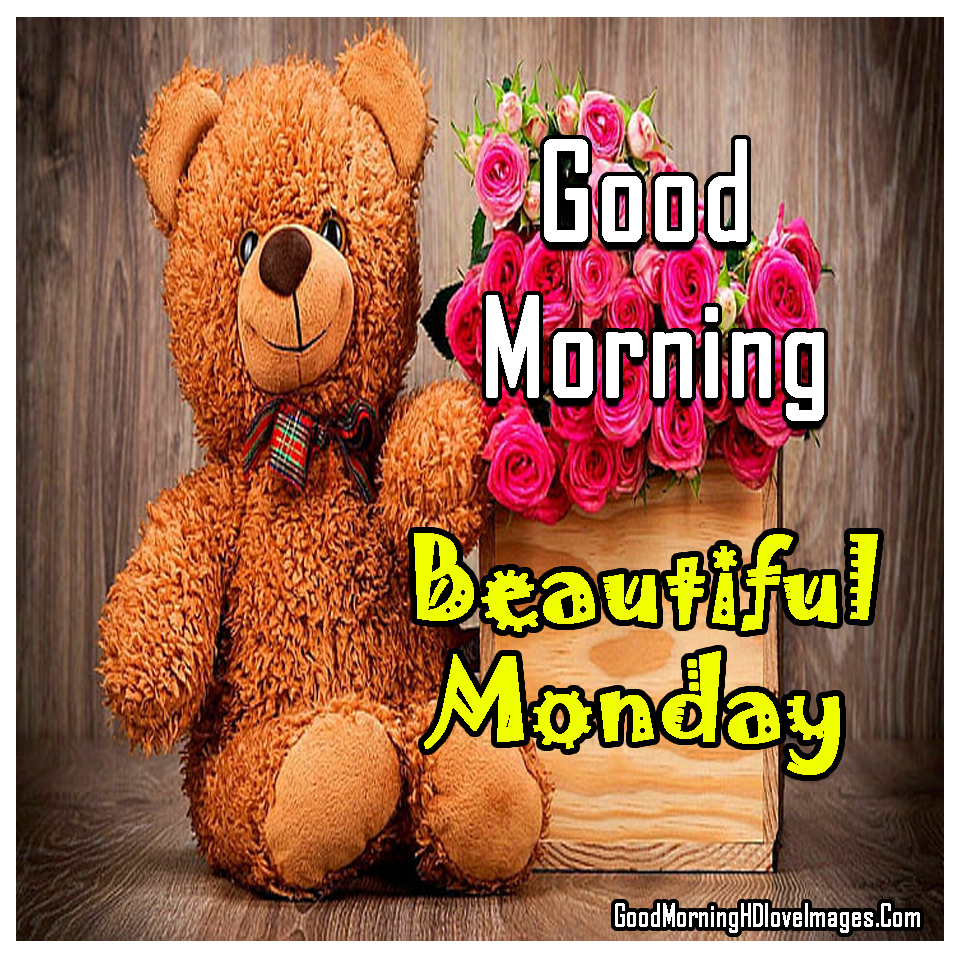 236 Good Morning Monday Images, Photos, Pics, Wallpapers & Wishes - Good  Morning