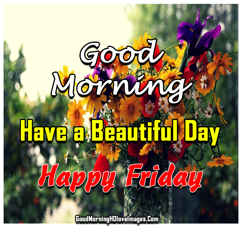 250+ Good Morning Friday Images Wishes for Whatsapp - Good Morning
