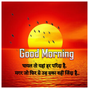 Initialize Good Morning Images for Whatsapp in Hindi