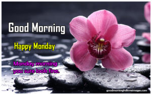 Initialize good morning monday images for whatsapp