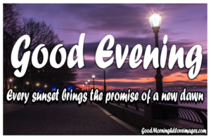 Best Good Evening Images Download For Whatsapp HD