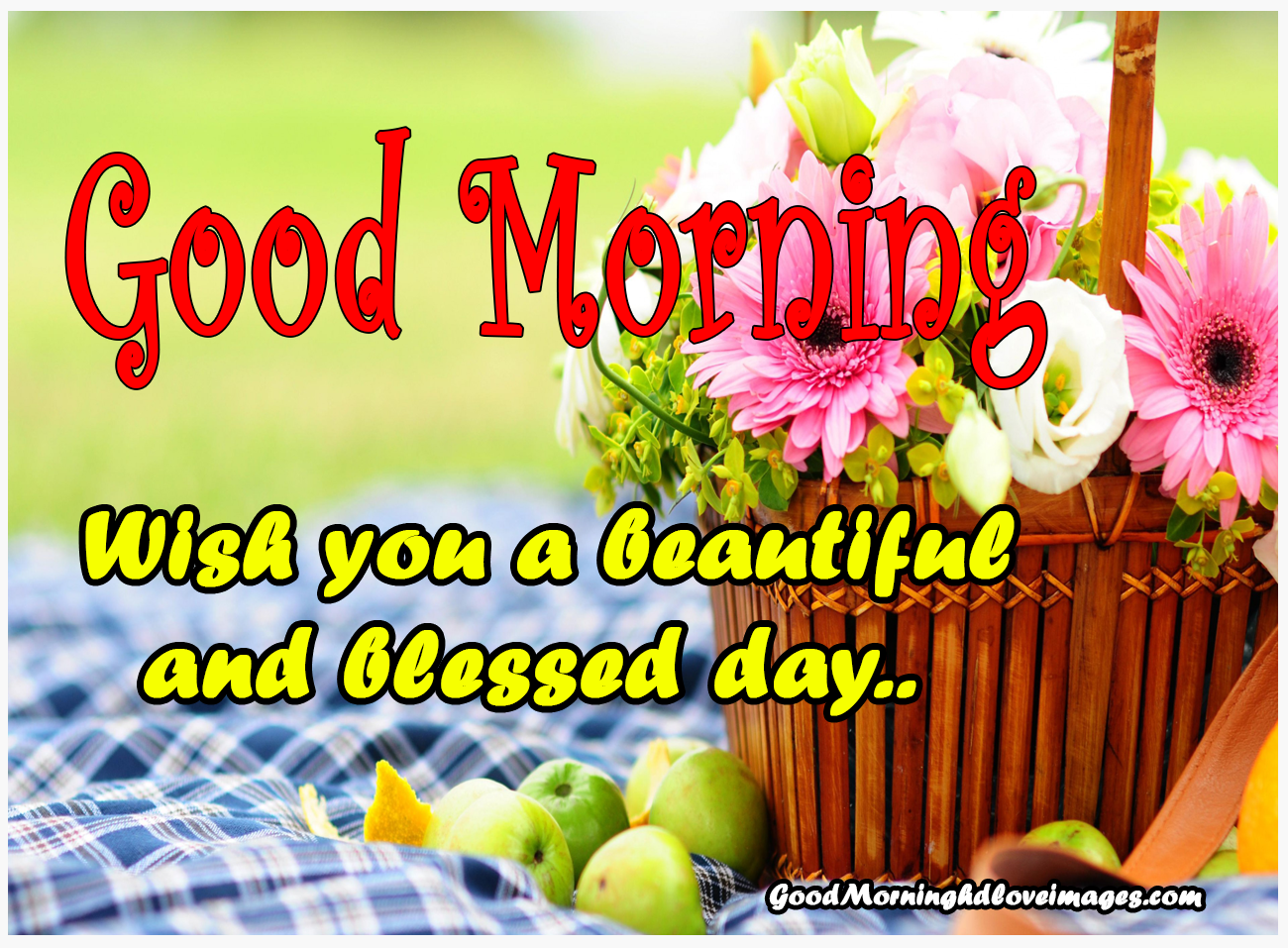 235+ Download New Good Morning Images Wallpaper Free Download For Whatsapp  - Good Morning